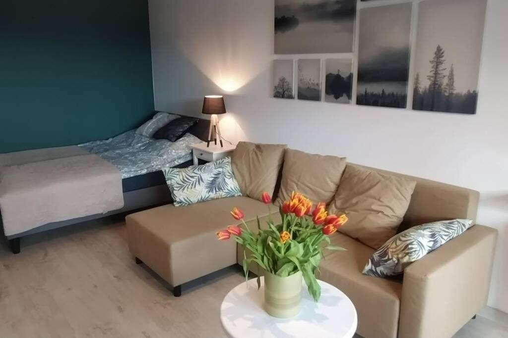 Apartament Modern Moldawska